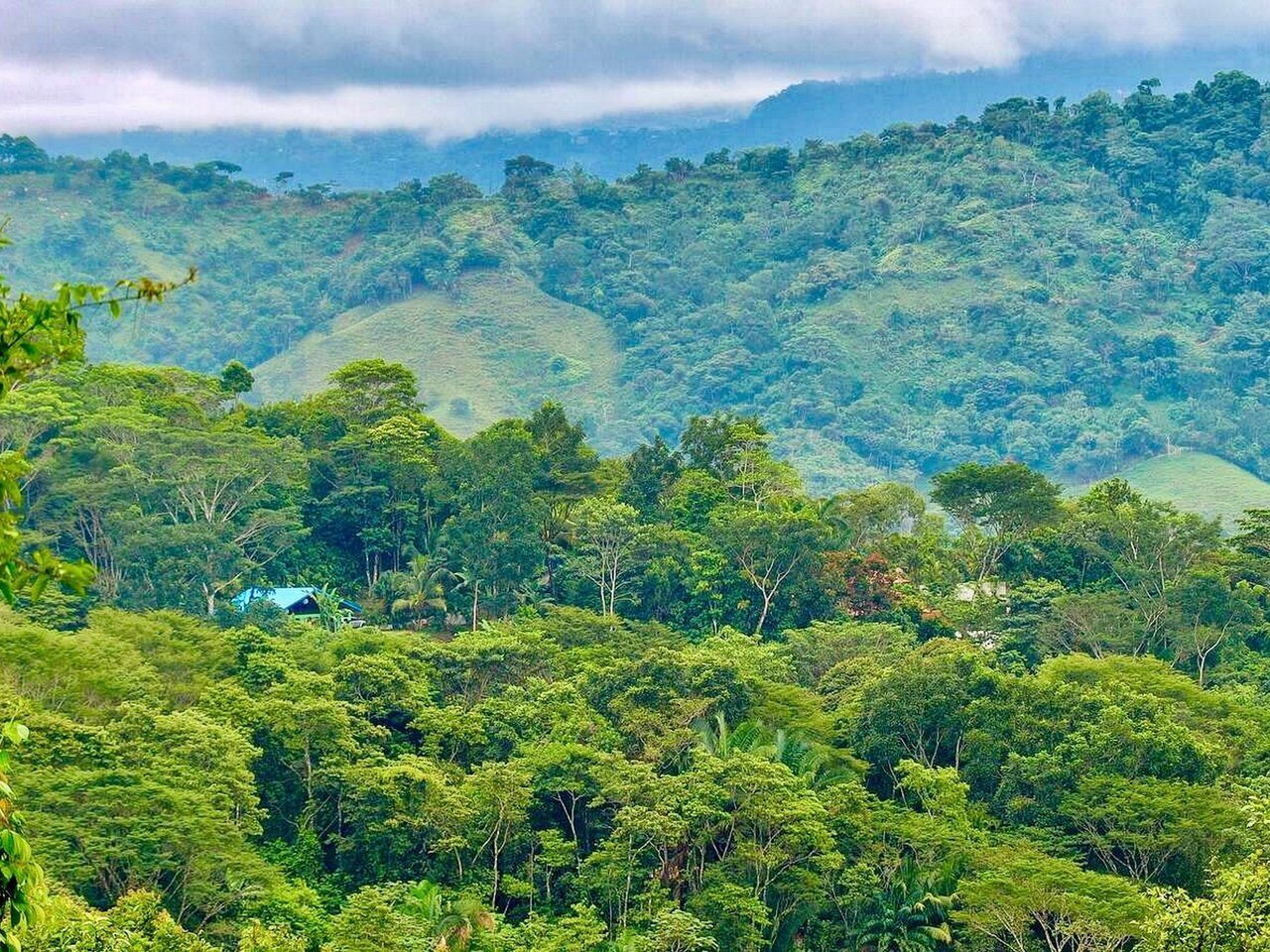 2.35 ACRES- 2 Bedroom Colorful Jungle Home With Ocean Views, Privacy, Room To Build More, Only 10 Min To Dominical!!!