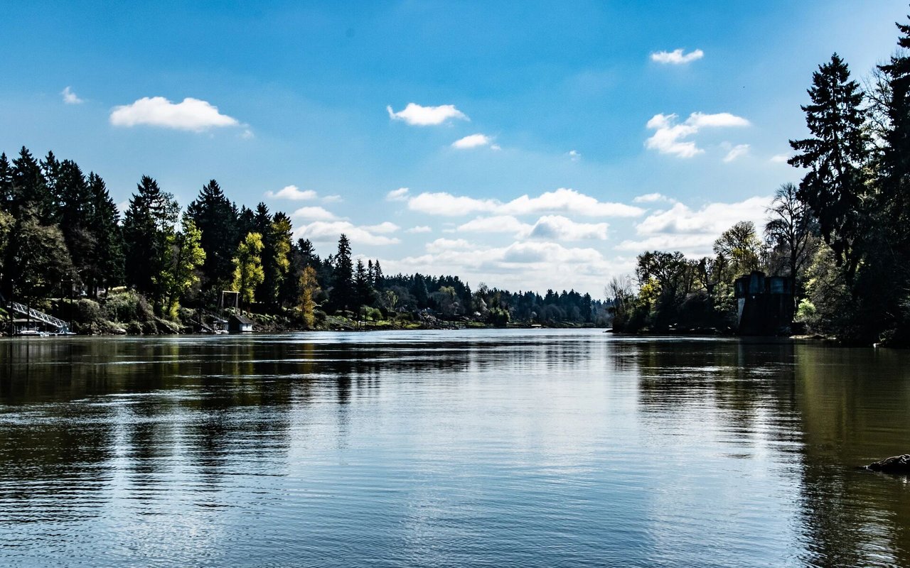 Lake Samish