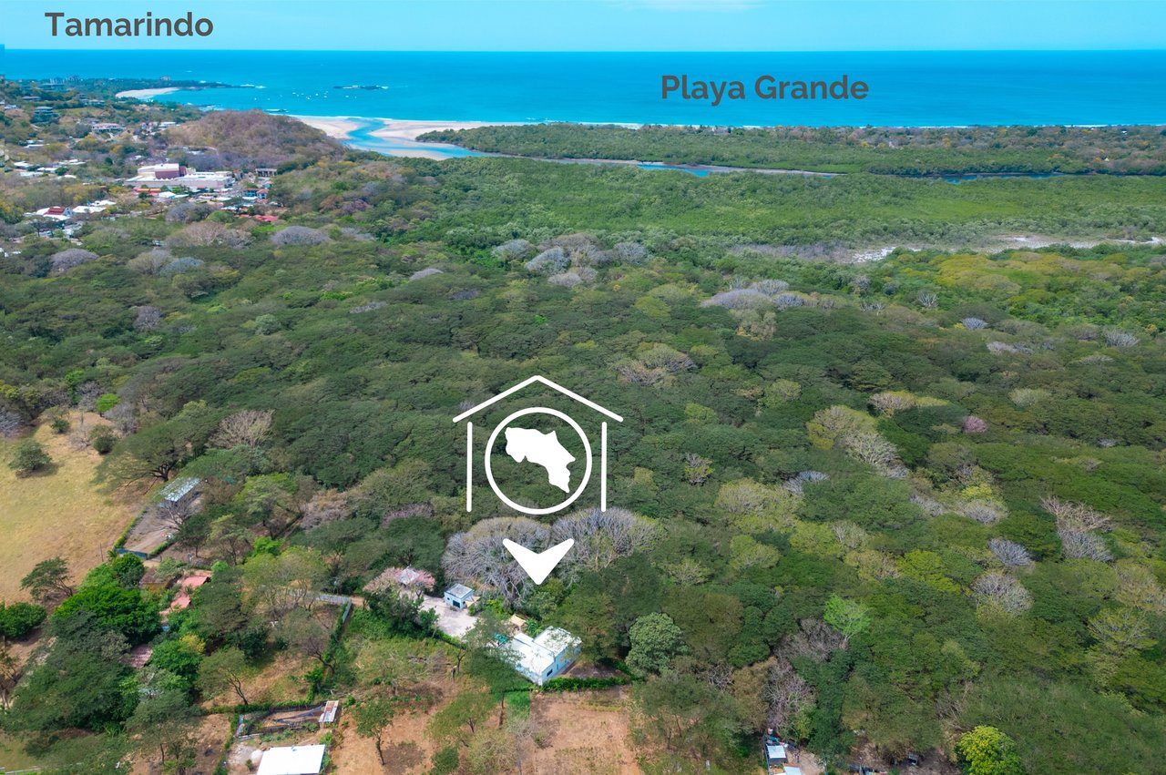 V-Jungla Cecile Refundores | Spacious Modern Villa with Pool, Guest House & Tropical Garden Near Tamarindo Beach