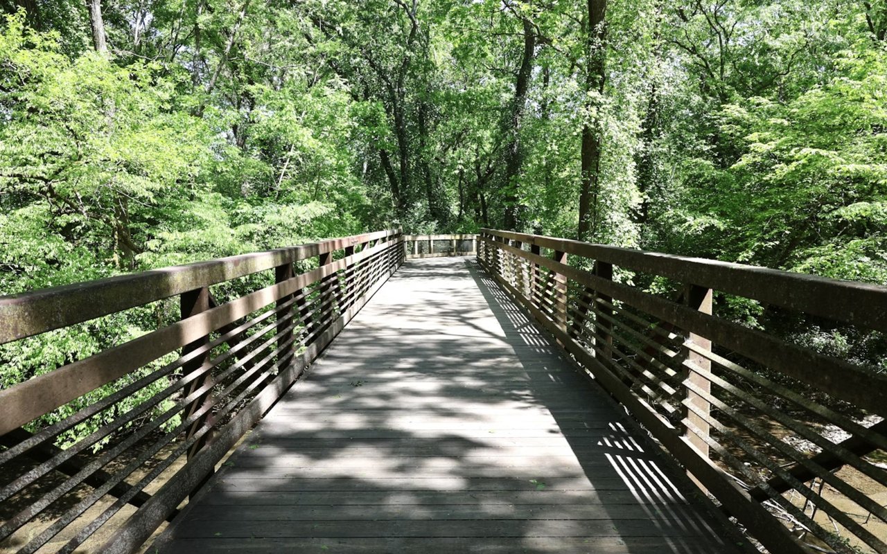 Things to Do in Alpharetta