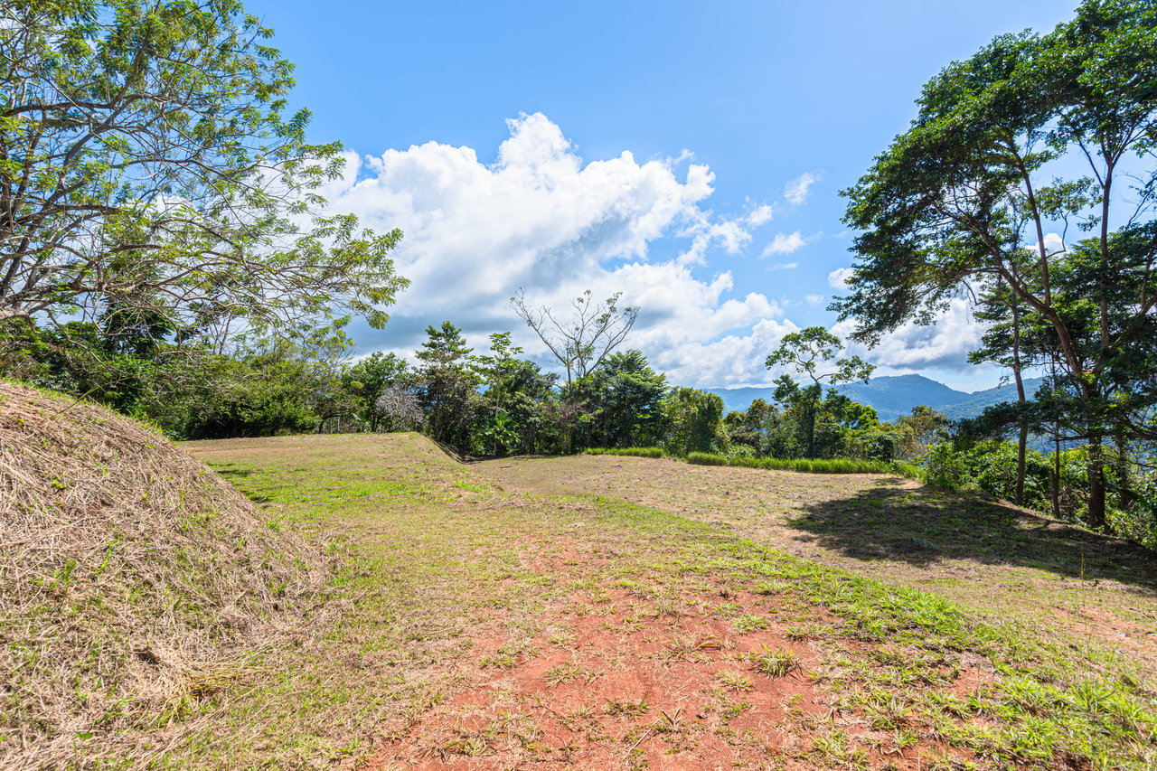 A Rare Thermal-Wellness Development Opportunity - Cacao Estates