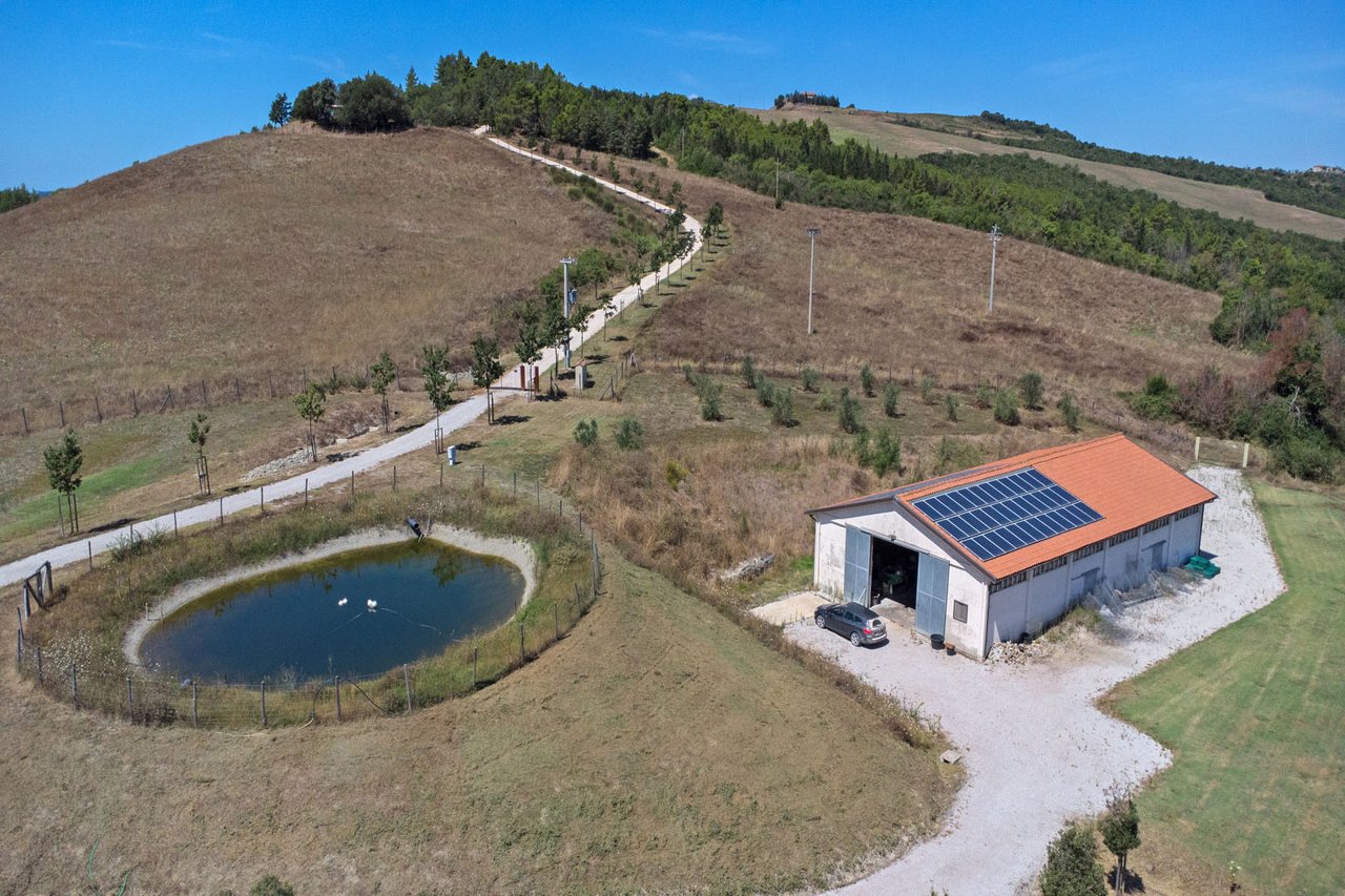 LA VOLTERRANA