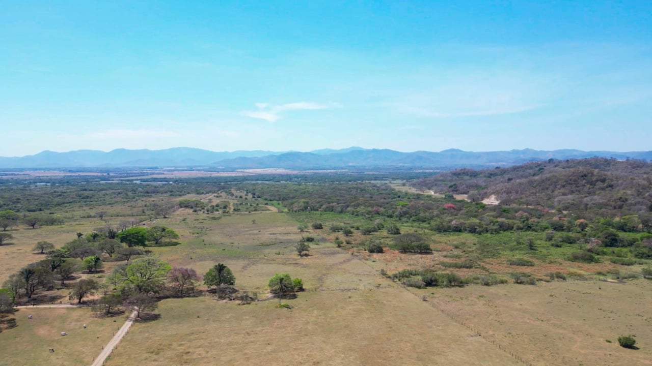 243 Hectares - Large Acreage - Costa Rica Investment Land. 