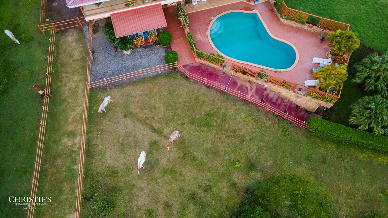 Finca Sweet Prince – A Private Equestrian Estate of Unmatched Elegance