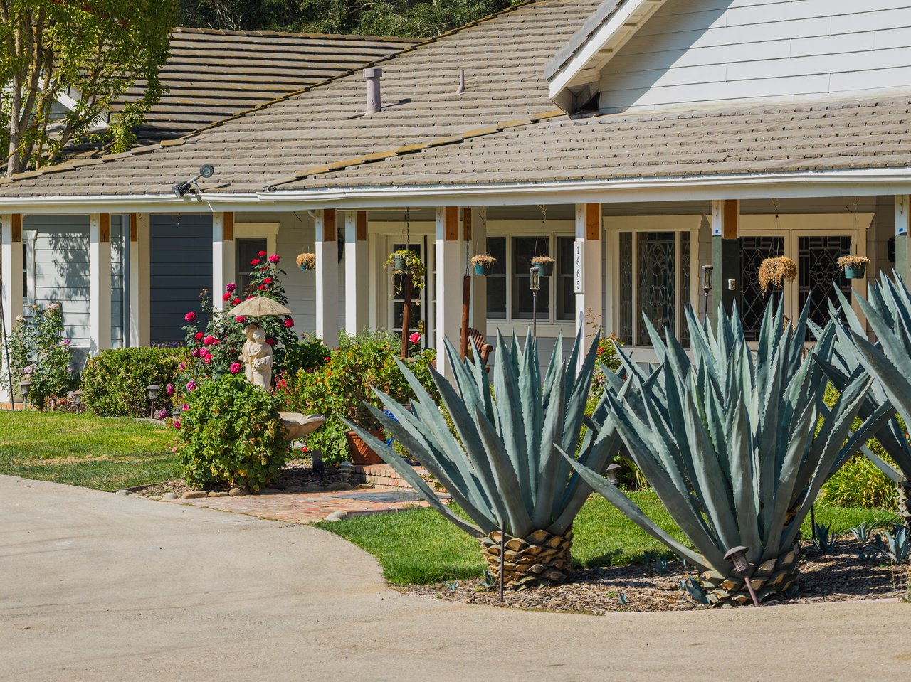 Gray-sided home with a covered porch, foreground agaves, and a garden of red roses.