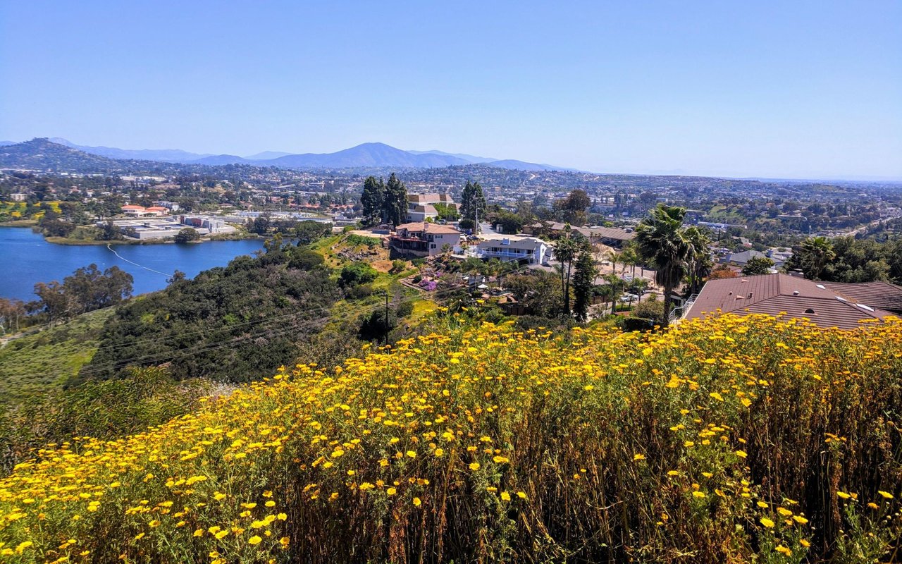 Mesa