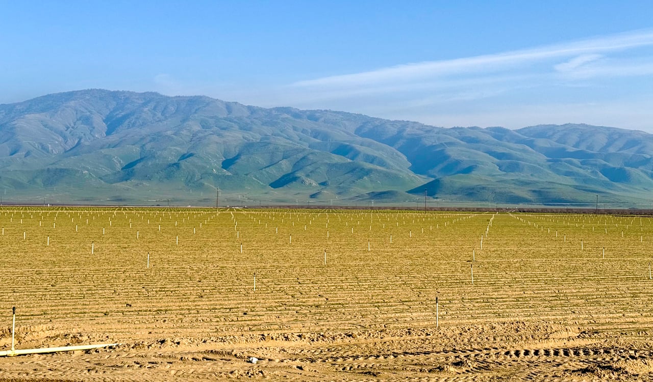 158.18 +/- Acres of Residential Zoned Farmland in the City of Arvin