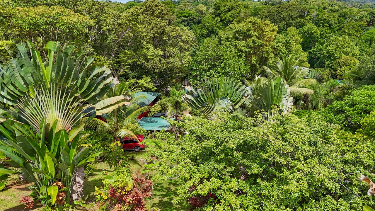 Ojochal Property for Sale – Cabins, Restaurant & 3-Bed Home