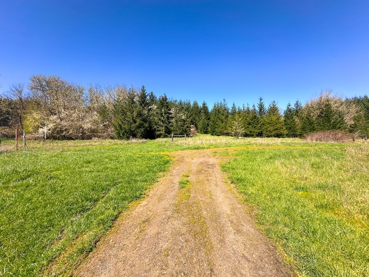 HARRIS FARM & FOREST