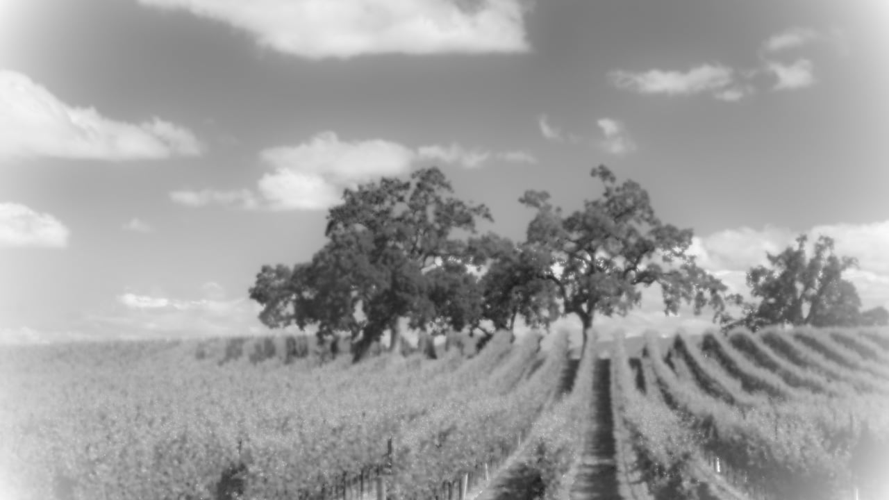 Sonoma and Marin Market Stats   January 2026