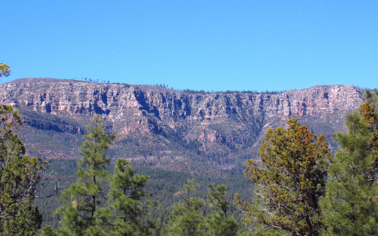 Pine Canyon