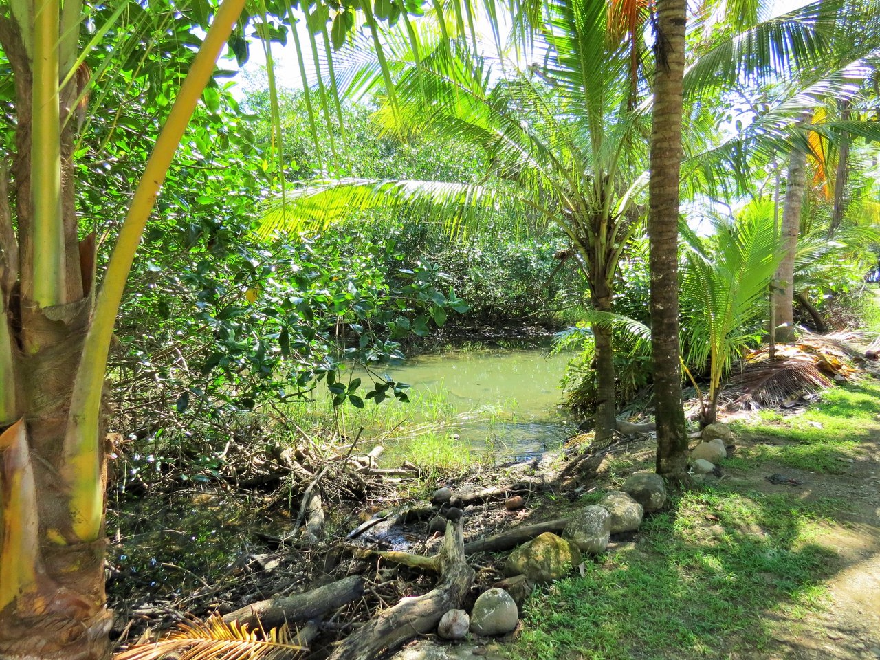 Fully equipped 4 Unit Apartment/Hotel complex 70 meters from the entrance to world-famous Marino Ballena National Park