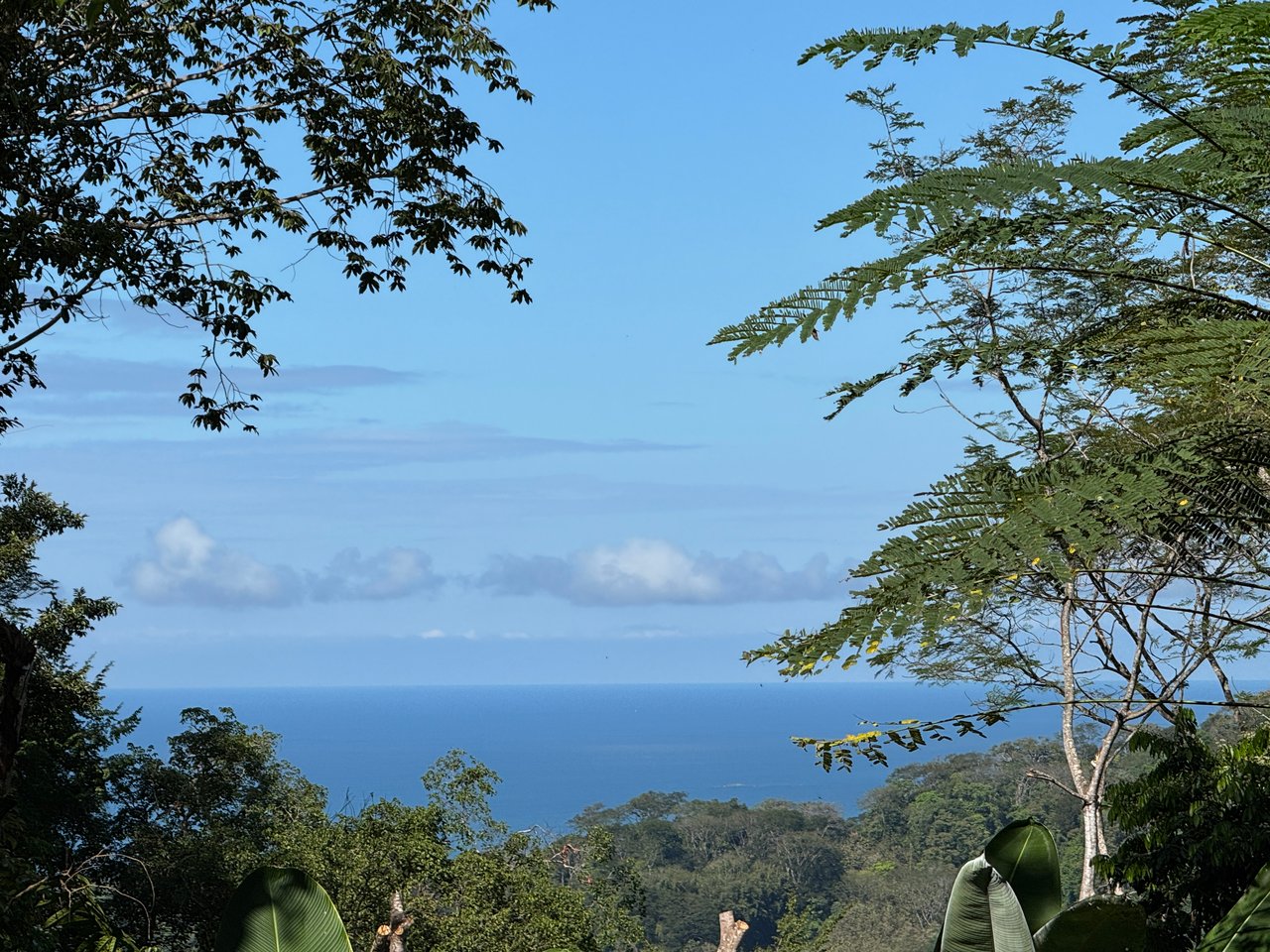 Casa Selva Vida, Uvita Costa Rica