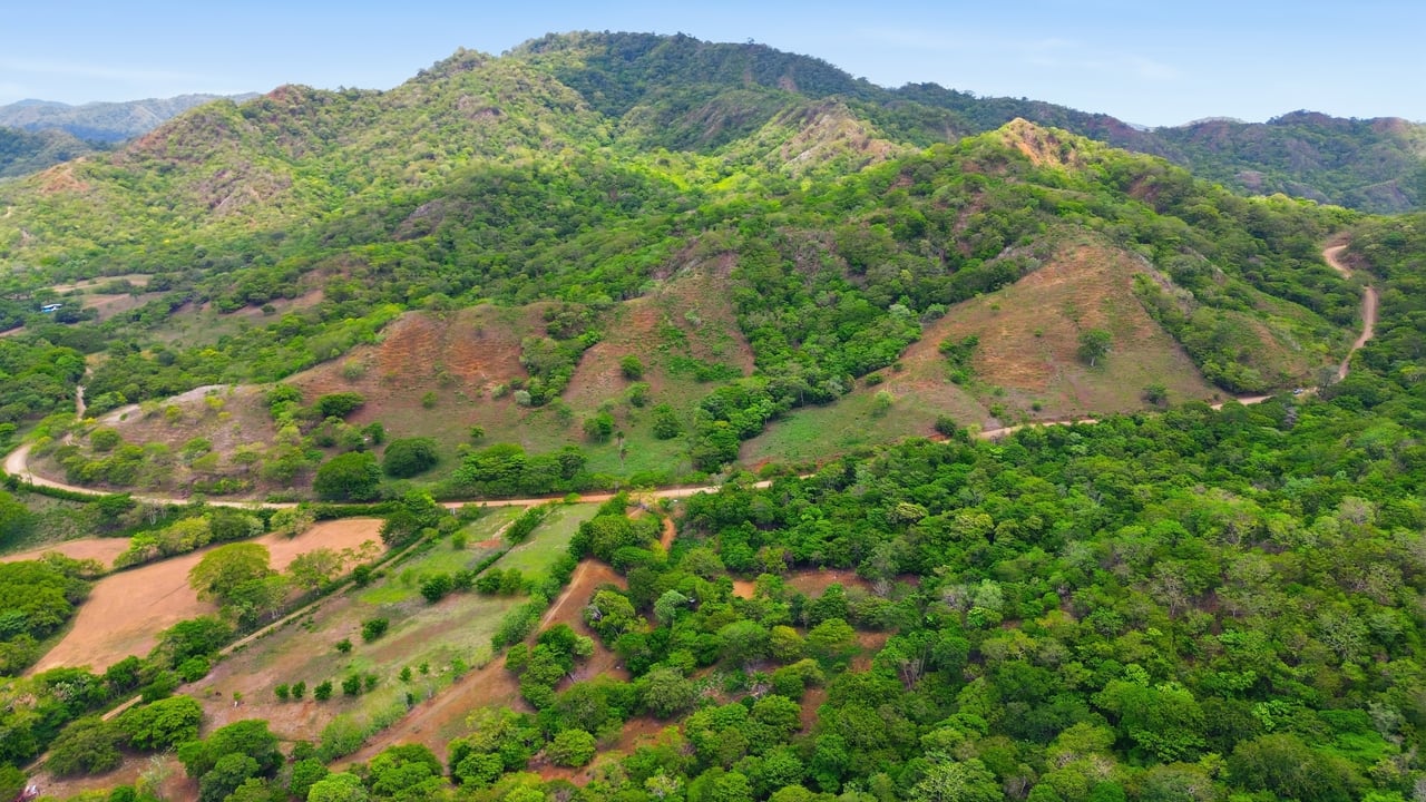 3.4 Acres of Quiet Country Living | 12 minutes from the Beach - Tempate 