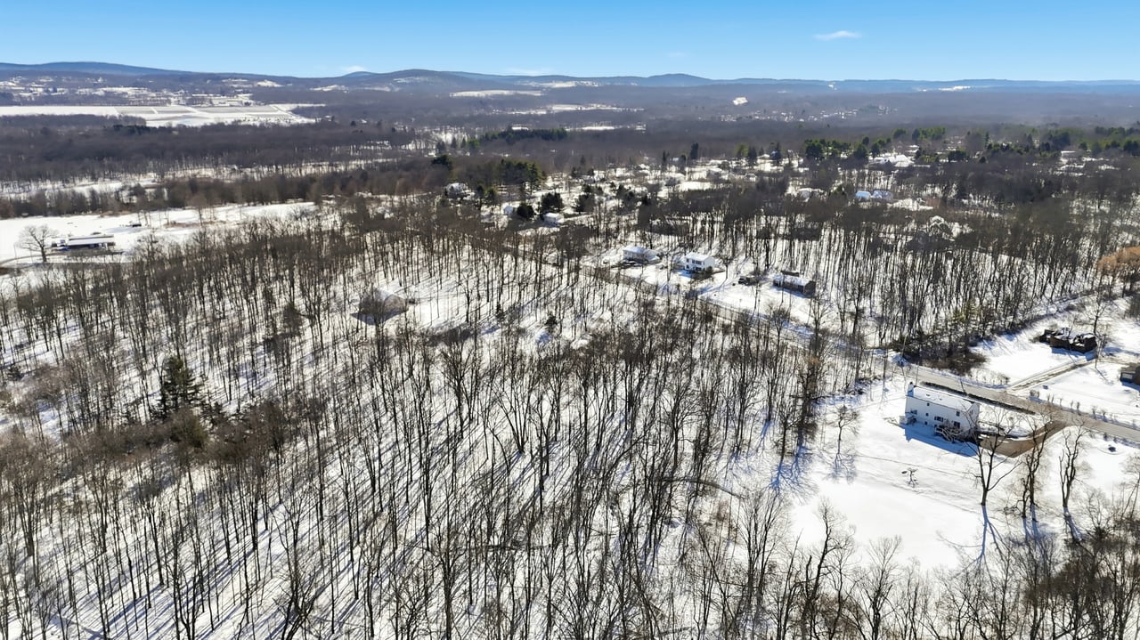 Shovel-Ready Sanctuary