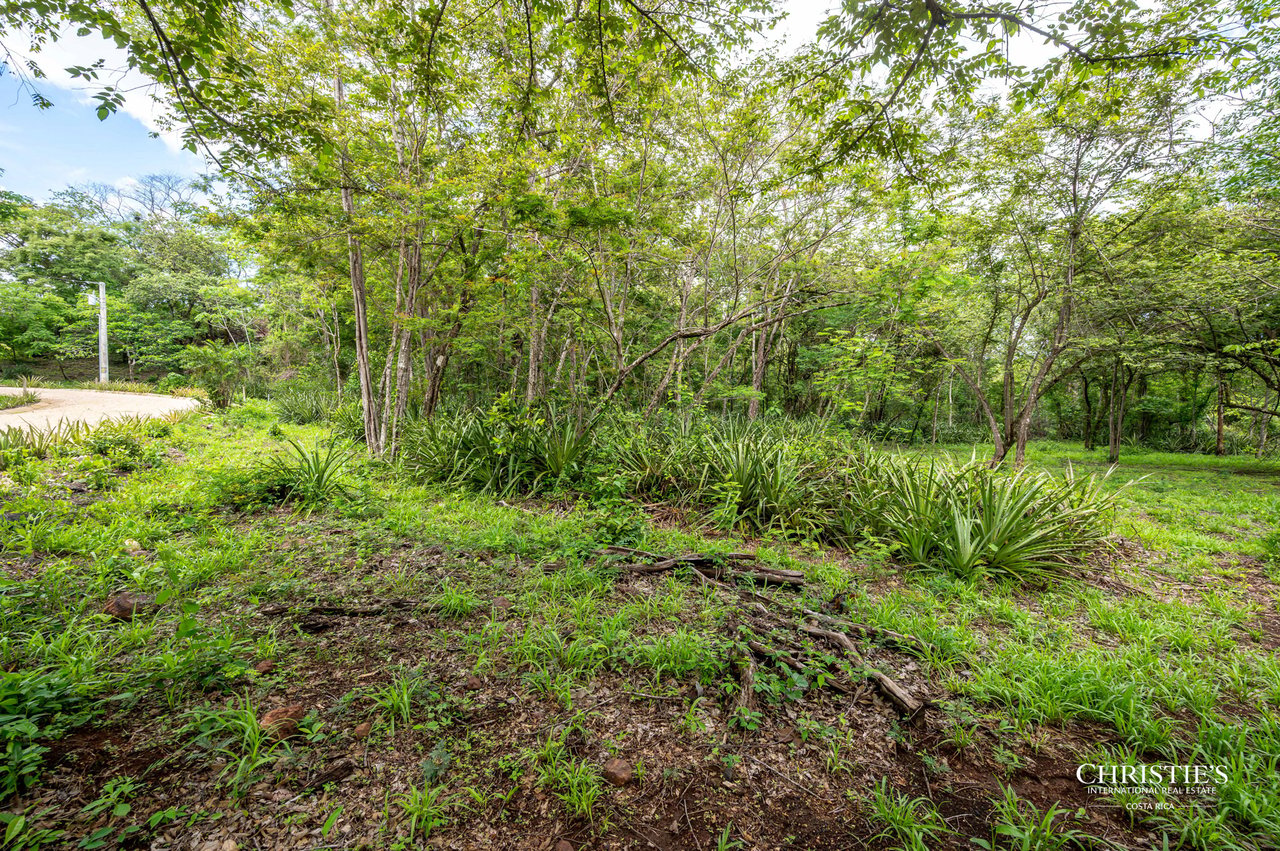  Pacific Estates 11 Homesite in Gated Community 