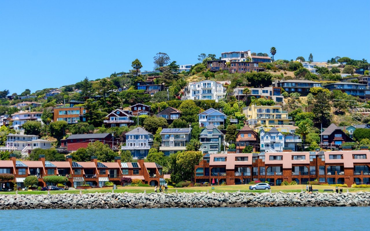 Tiburon