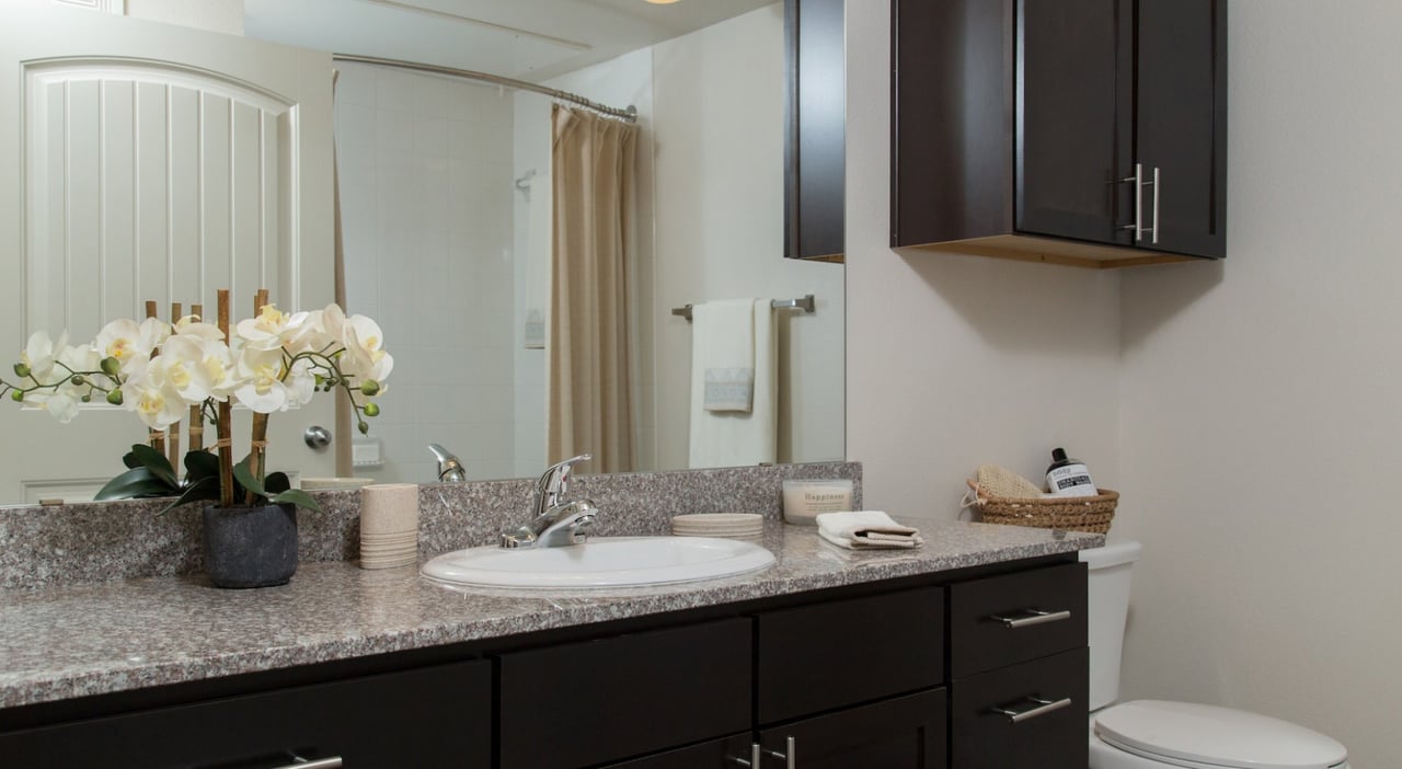 Beautiful 1/1 apartment home 20 minutes north of downtown!