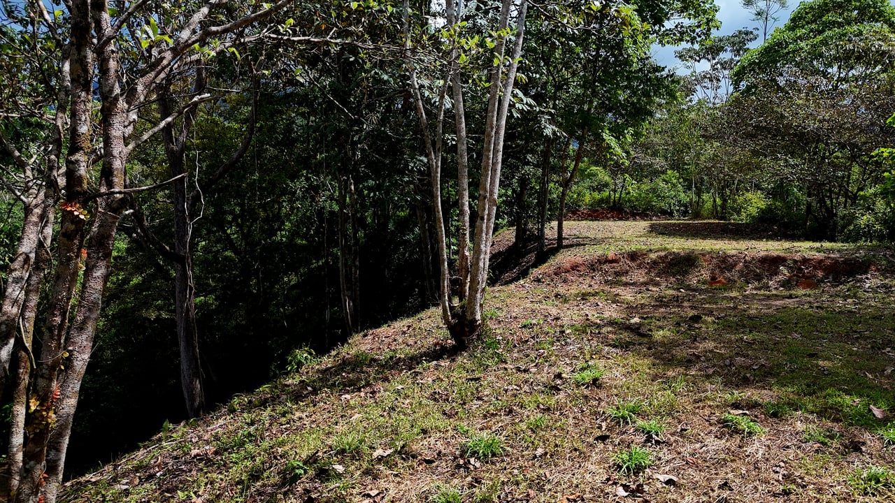 Beautiful mountain view land located in a quiet community in Ojochal. 