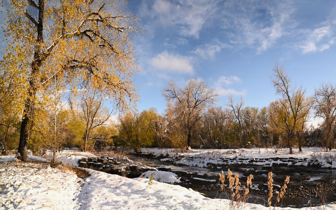 Wheat Ridge