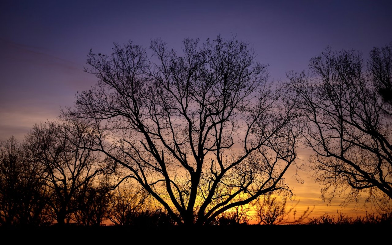 Local Wichita Falls History: The Impact of the 1979 Tornado