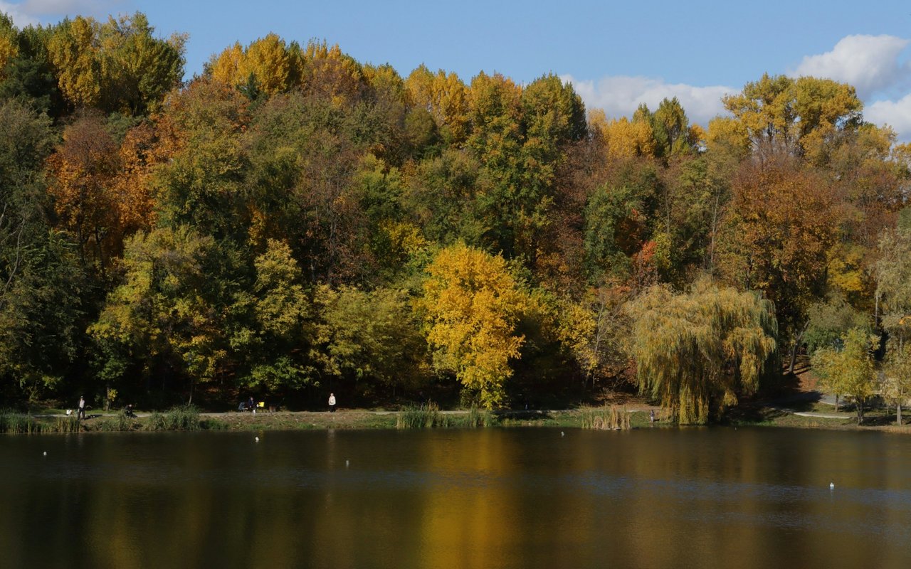Autumn trees and their reflections along a lakeside park path.