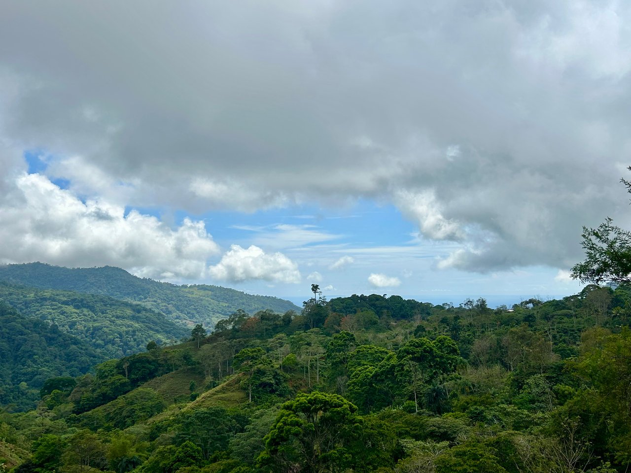 Gorgeous Land in San Luis Morete - Uvita - Over 17 Acres