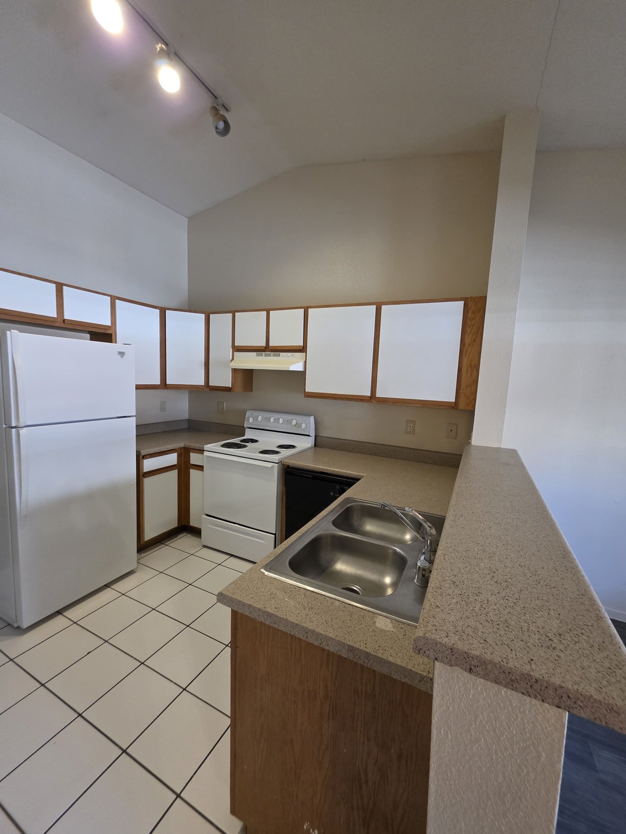 3849 Soda Springs Drive - 1