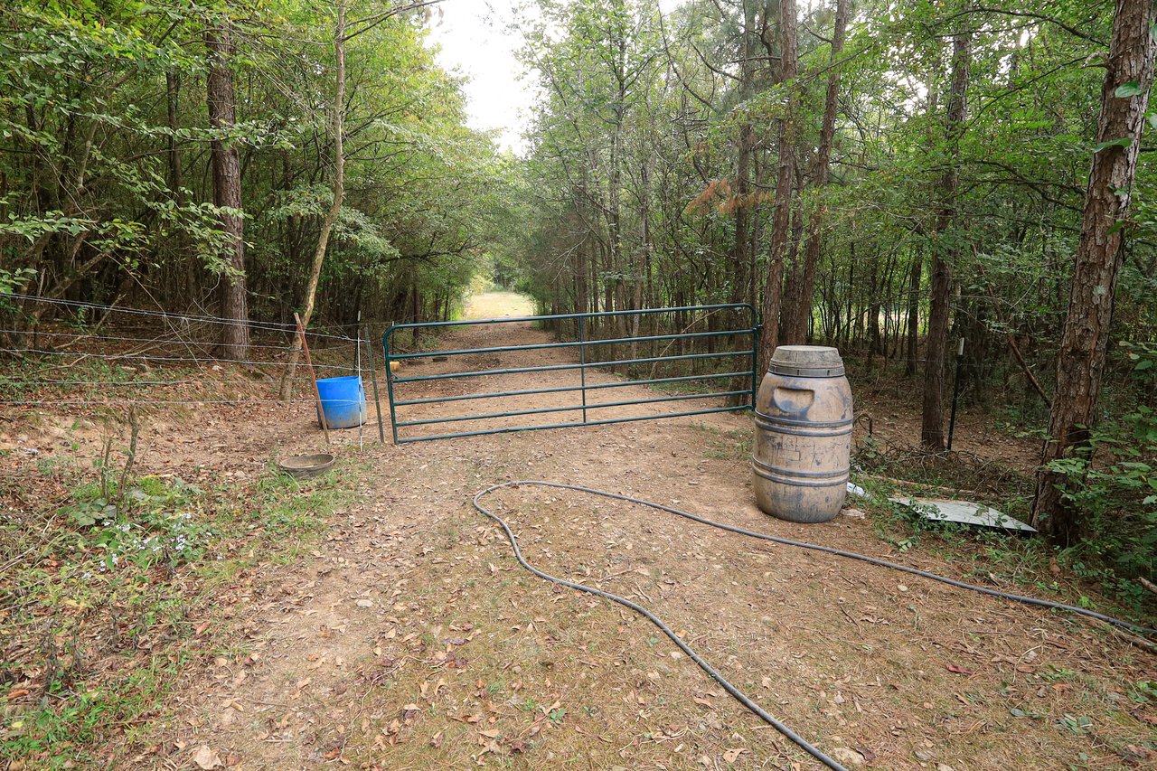 184 Peaceful Placed