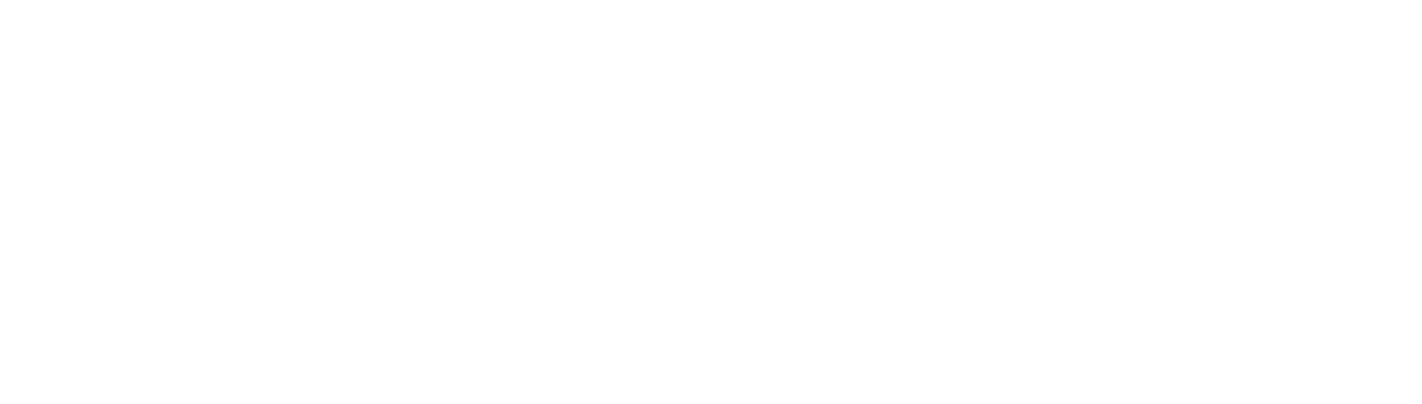 Light Logo