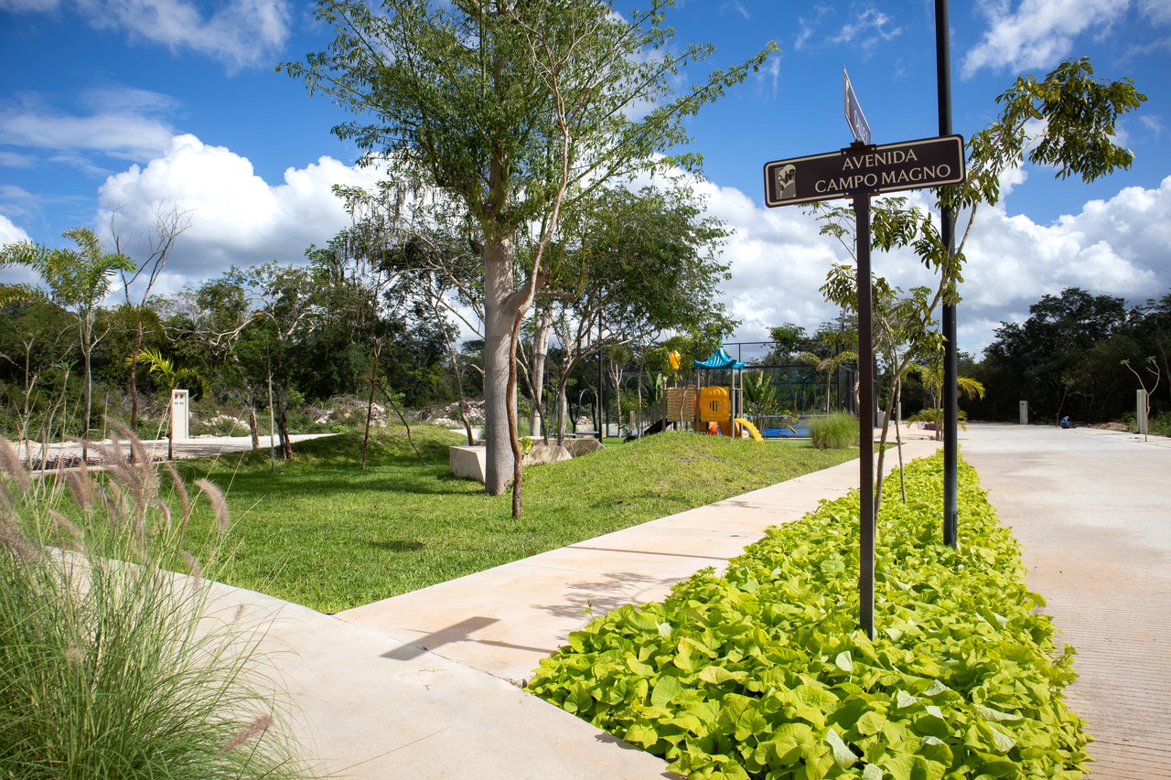 Campo Magno