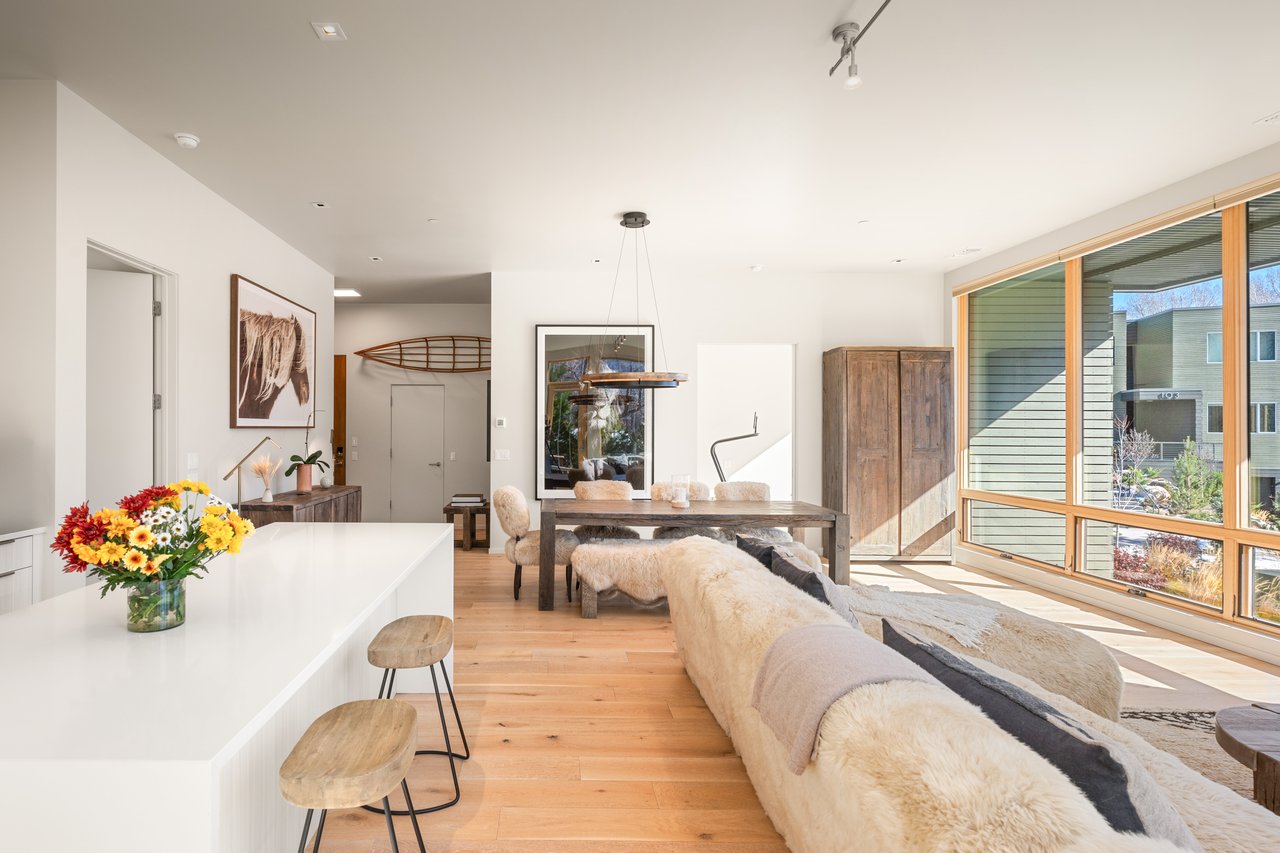 Contemporary Condo at Park Modern
