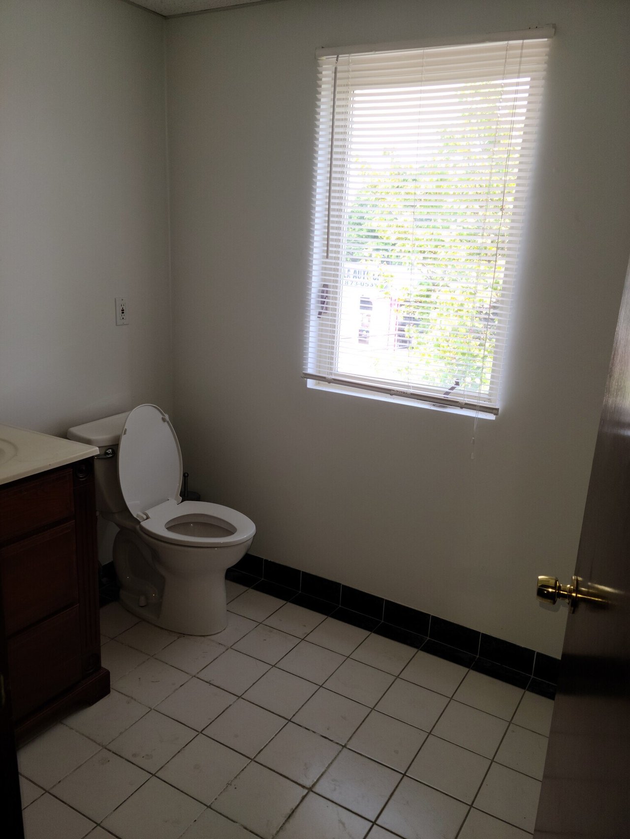 221 Mineola Blvd