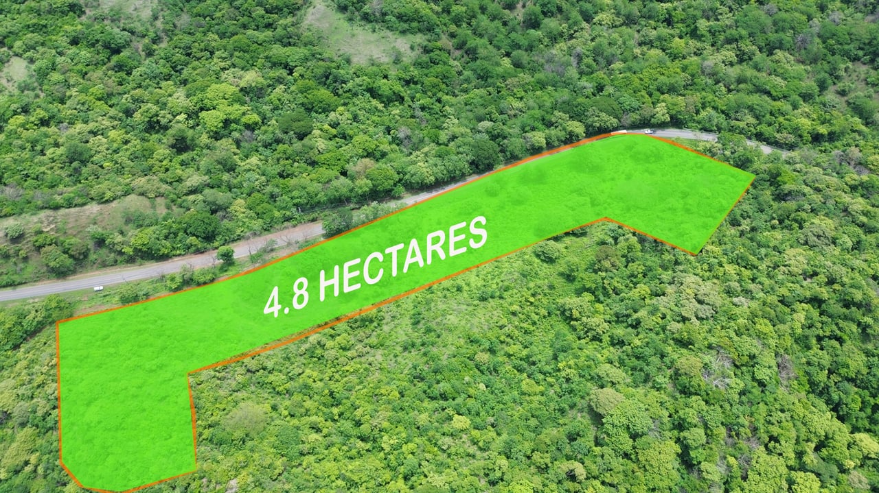 MAIN ROAD PARCEL - COYOLITO 