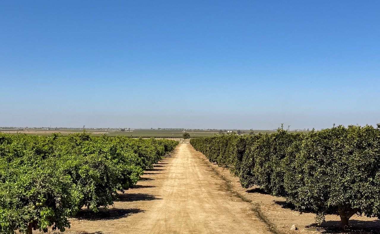389.41 +/- Acres of Citrus, Pistachios, and Open Farmland