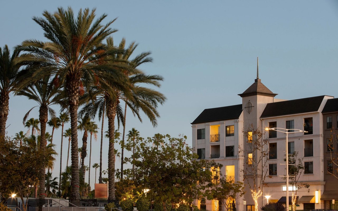 Apartment building at dusk beside tall palm trees, with warmly lit windows.
