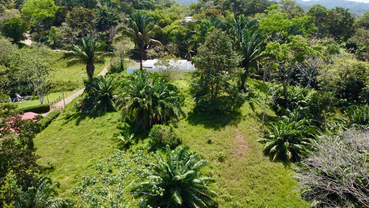 4 Development Lots  in Jardines del Morete