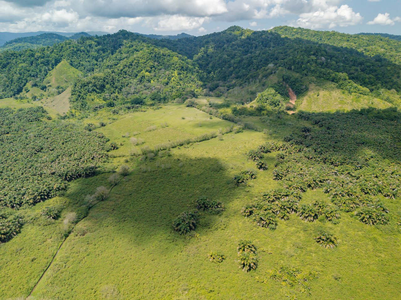776 Hectares Prime Land in Osa | Ocean Views, Waterfalls, Rivers & Sierpe River Access