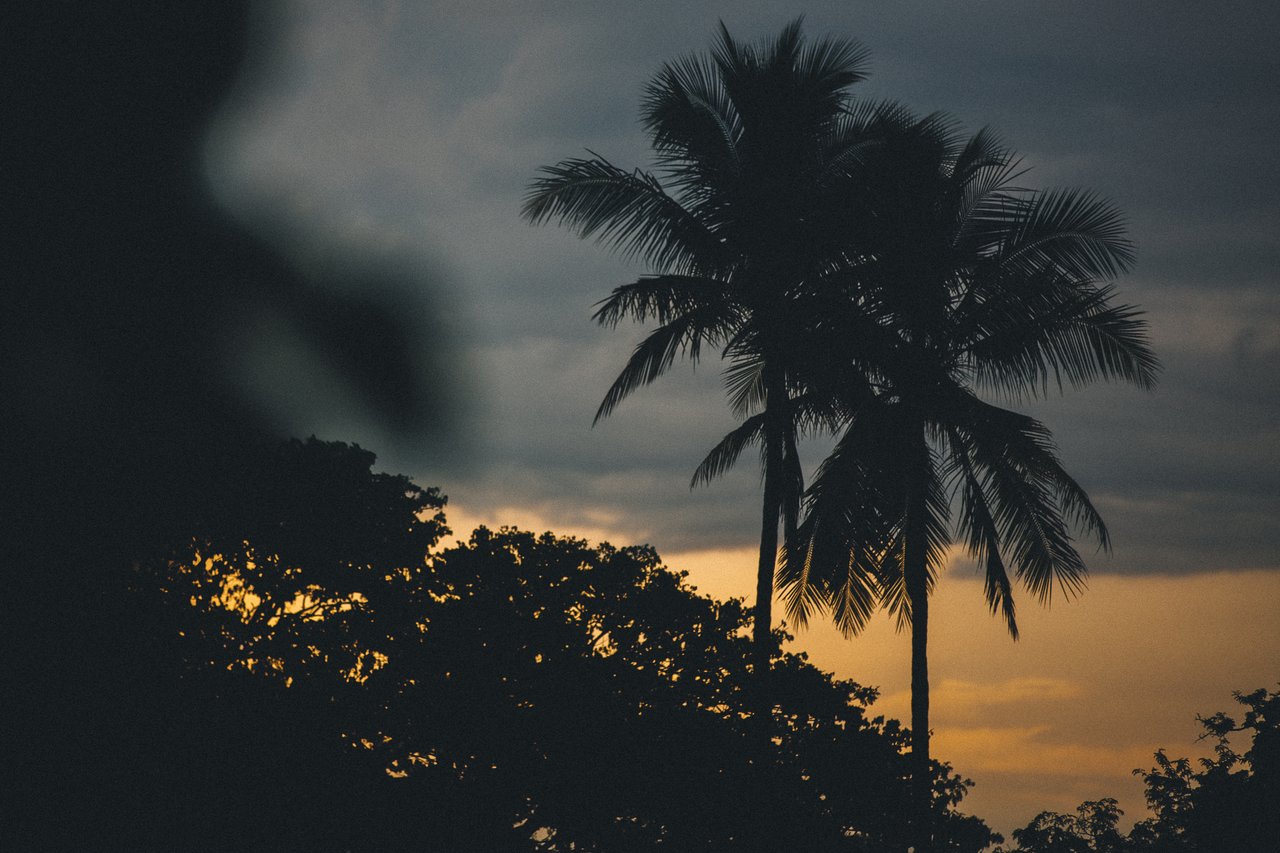  Punta Sabana & Mar Serena