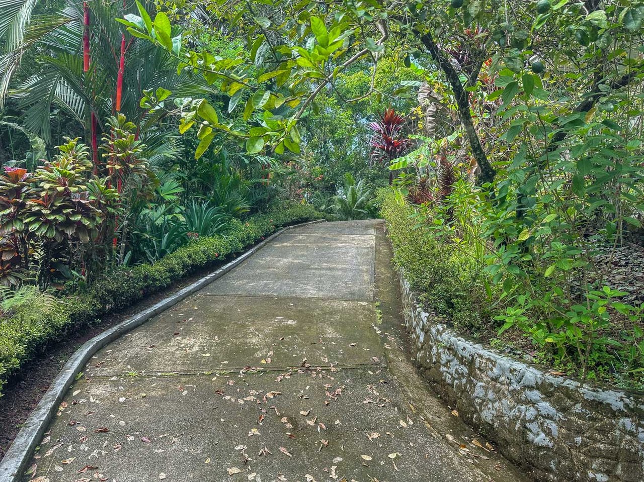 Ojochal Jungle Retreat for Sale with River, Pool, and Income-Generating Casitas