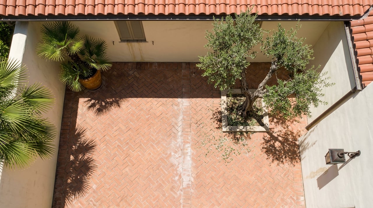 Overhead courtyard with herringbone terracotta pavers, olive tree, potted fan palm, and sharp shadows.