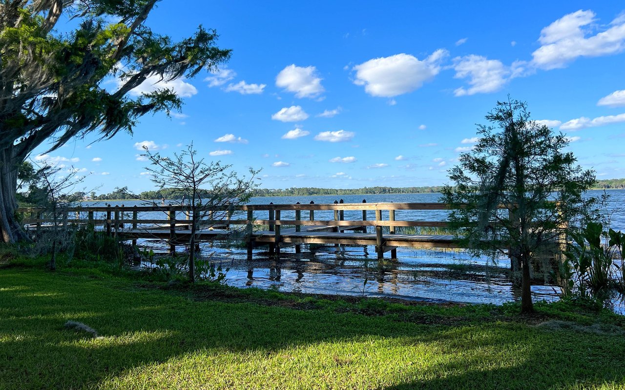 Wooden lakeside dock framed by trees and a grassy shore.