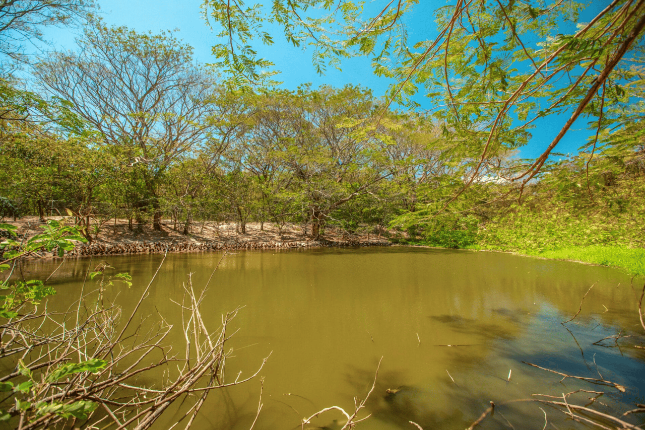 Hotel El Sitio - Investment Opportunity In Liberia Guanacaste