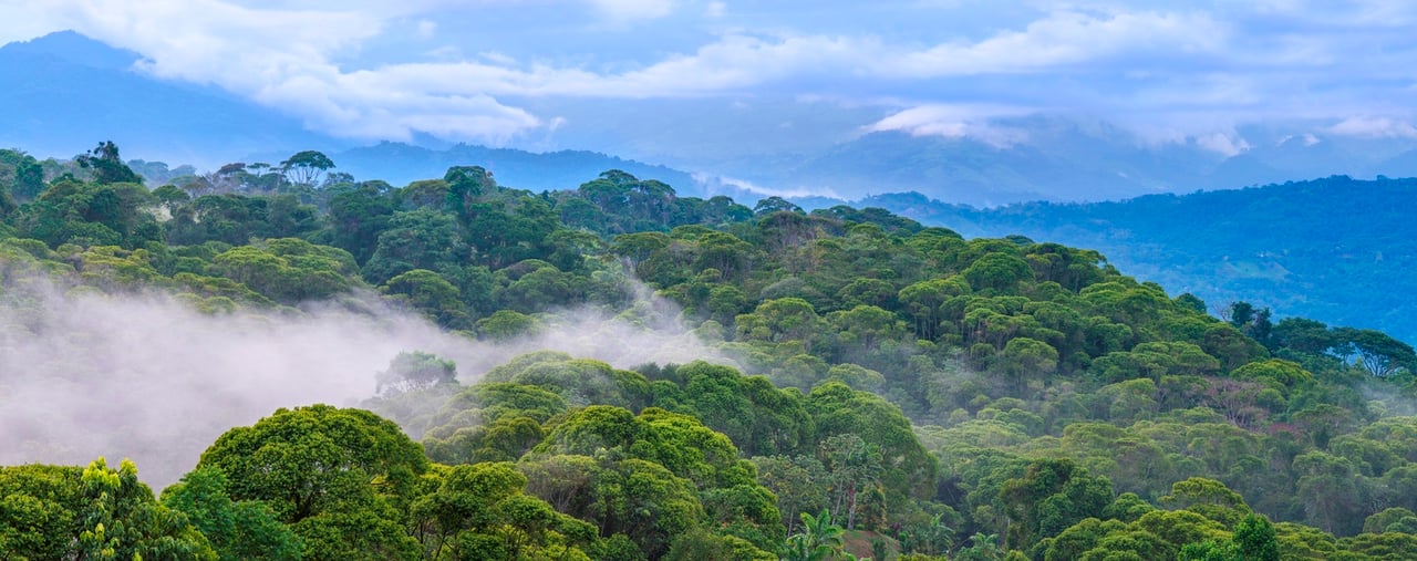 Impressive Contemporary Mansion