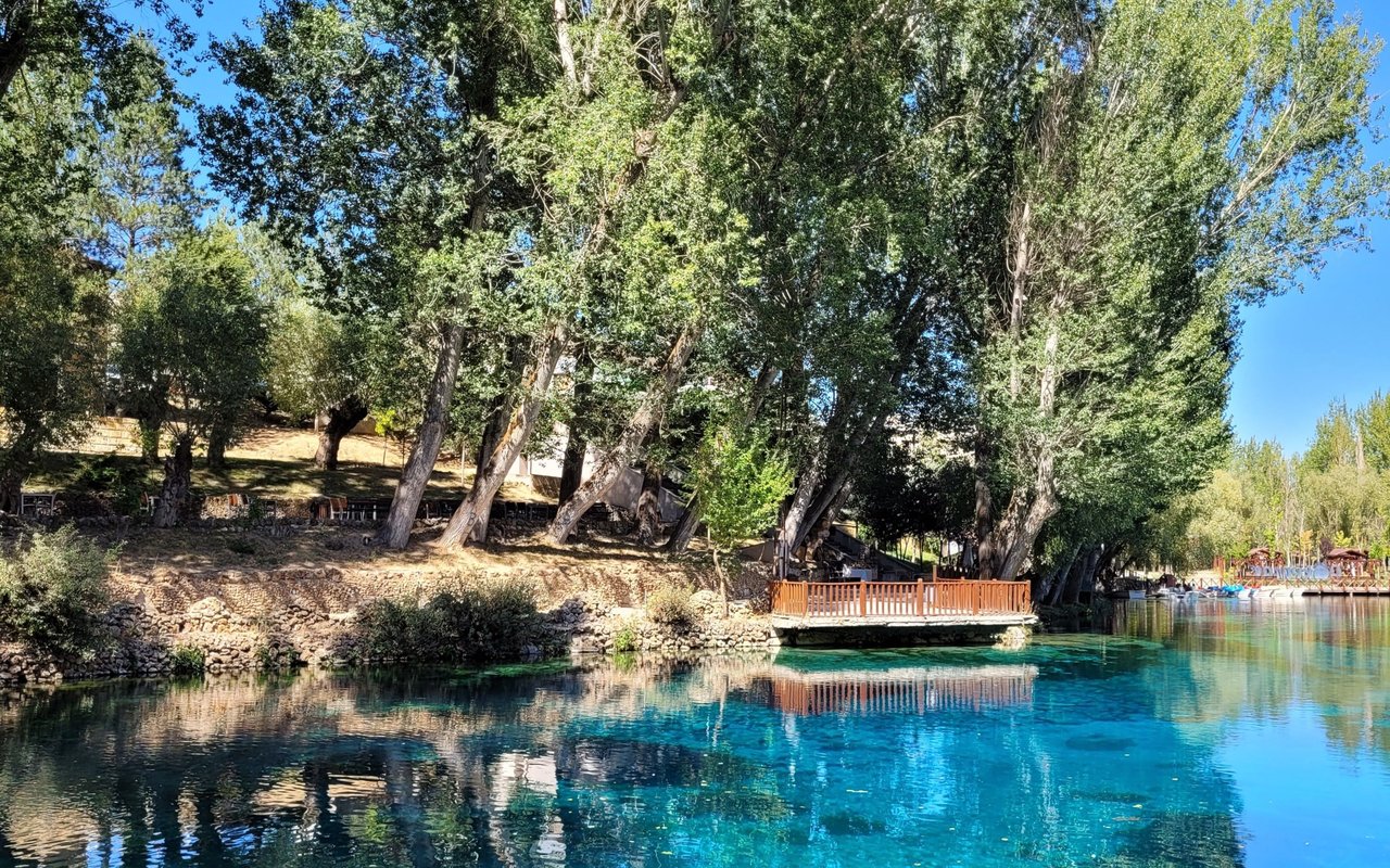 Turquoise spring water beneath shady trees, with a wooden dock along the bank.