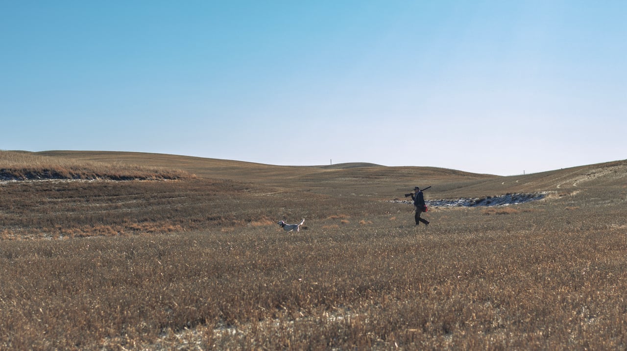 Blood Coulee Ranch
