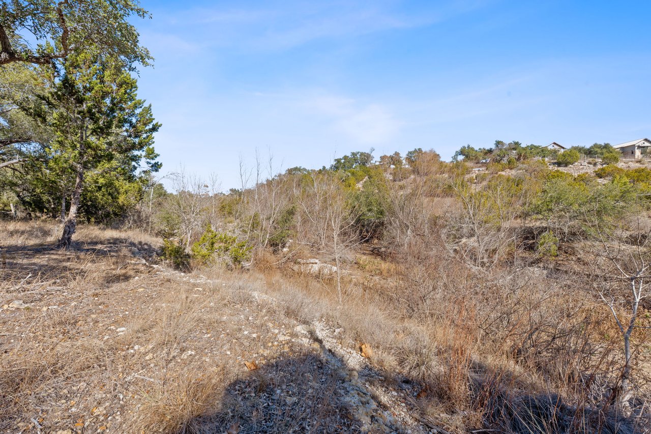 100 Dario Dr. Dripping Springs  Tx 78620