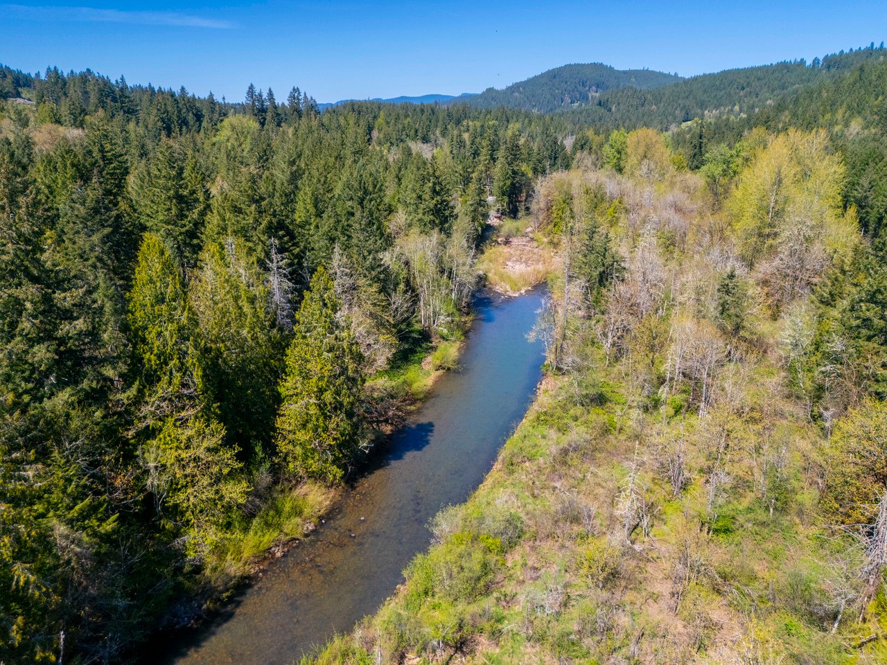 Mosby Creek Farm & Forest