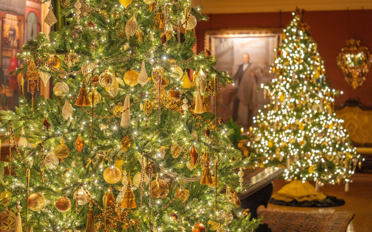 Golden-ornamented Christmas tree glowing with lights, with more decorated trees behind it.