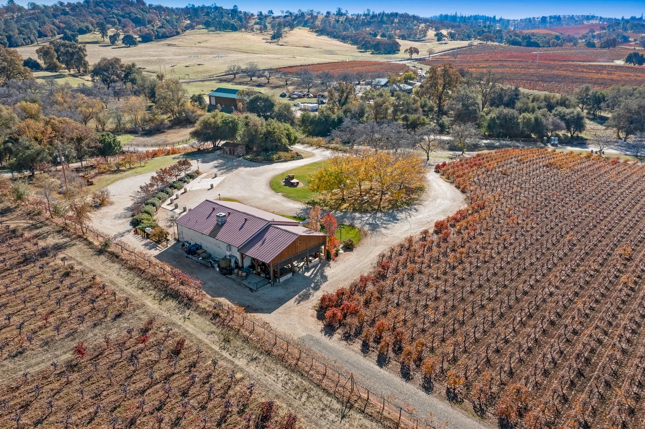 Cooper Vineyards - Barbera's Legacy Continues In the Heart of Shenandoah Valley